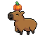 Pumpkin Hat Capybara
